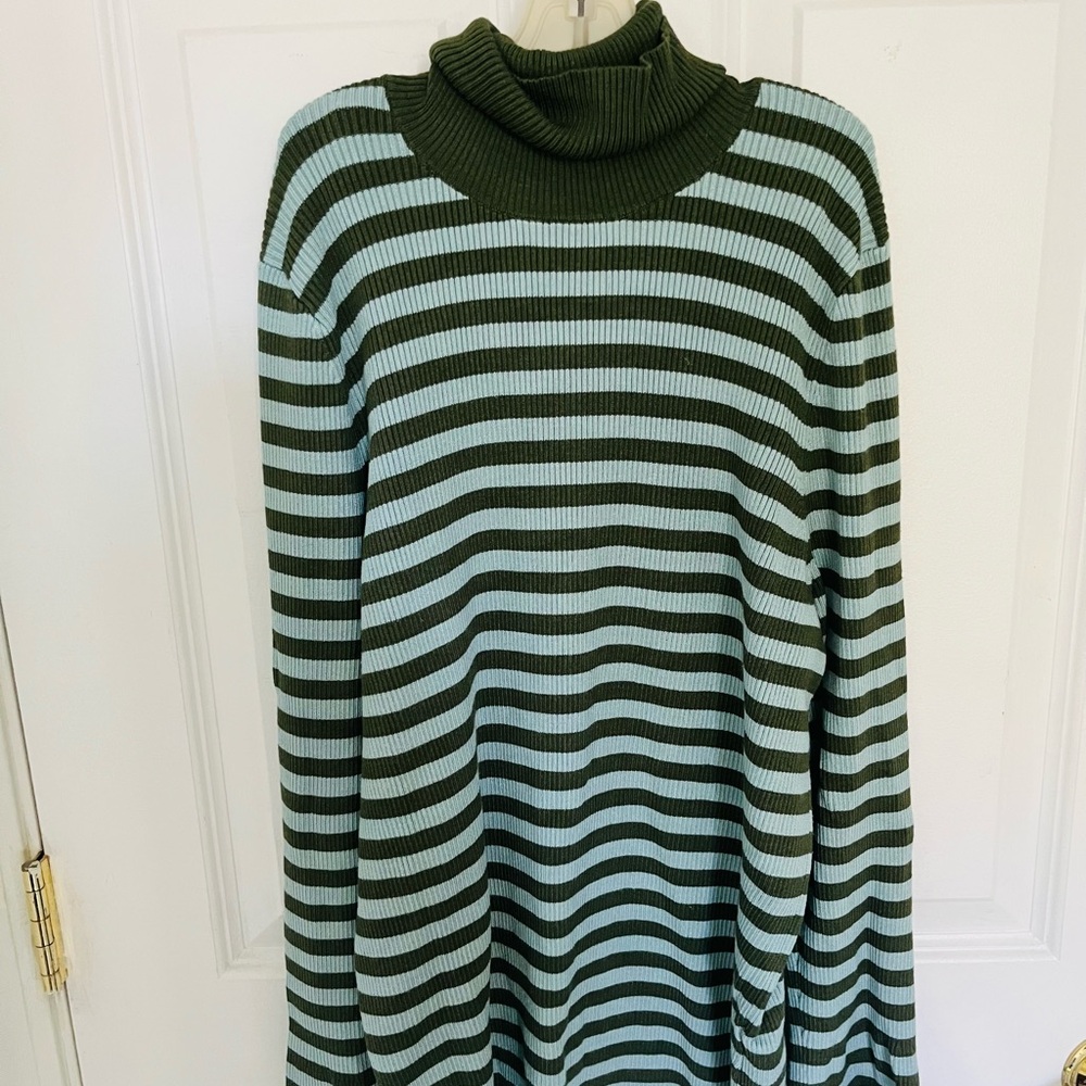 Anthropologie Green and Blue Striped Turtleneck Sweater- sub brand Moth!
